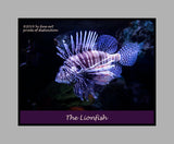 A Poster of a Lionfish with Spread Fins