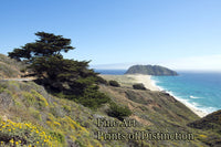 Pacific Coast Highway an Ocean View Art Print