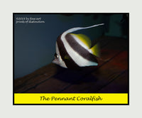 Poster of the Pennant Coralfish