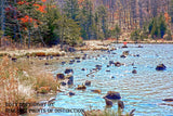 Glistening Northern Shoreline of Spruce Knob Lake Art Print