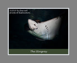 Poster of the Sting Ray Fish with teeth showing 