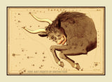 art Print of the Taurus Constellation by Jehoshapat Aspin Card #17 out of a set of 32 entitled Urania's Mirror