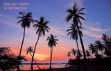 Tropical Landscape with Palm Trees and a Beautiful Sunset Premium Print