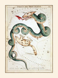 Draco and Ursa Minor Constellations from Urania's Mirror Astronomical Cards by Jehoshaphat Aspin